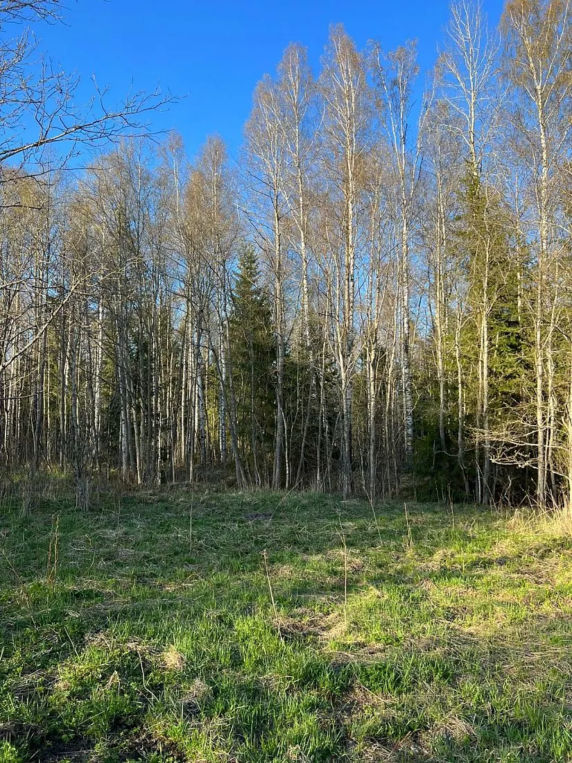 Коттеджный поселок "Мечта"-1 участок 429
